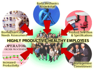 Ergonomic Evaluation