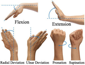 Ergonomic Consultation