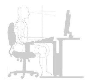 Ergonomic Consultant